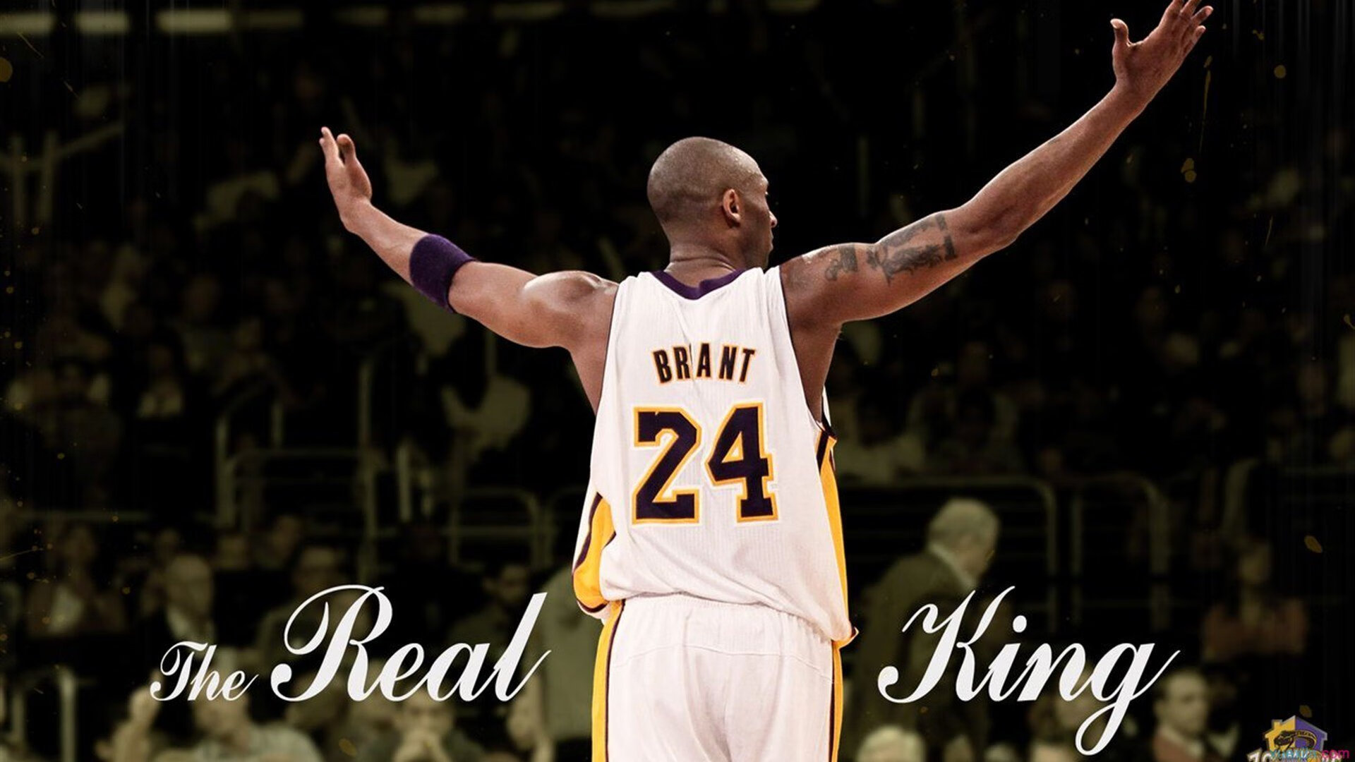 开云足球直播-唯一逆转,霍勒迪天降神兵,篮网绝境翻盘吉林队!